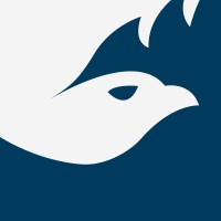 Bold View Capital Logo