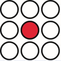 Oxford Immunotec Logo