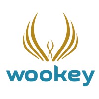 Wookey Technologies Logo