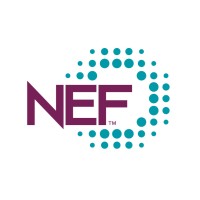 National Energy Foundation (US) Logo