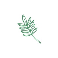 We Talk Money Logo