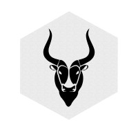 Superstition Meadery Logo