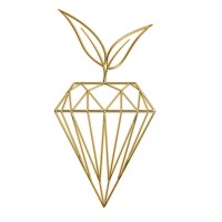 Twenty Four Carrots Logo