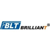 BRILLIANT ELEVATOR INDIA CO PVT LTD Logo