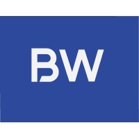 Blue Wasp Marine Logo