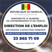 Direction de lEmploi du Sénégal Logo