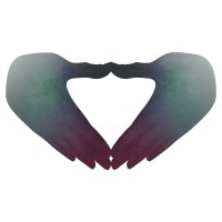 Empowered Chiropractic Logo