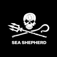 Sea Shepherd Italia Logo