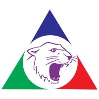 BRASPOR Gráfica e Editora Ltda Logo