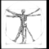 Synergy Physical Therapy and Wellness Logo