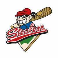 Baseballclub Hamburg Stealers e.V. Logo