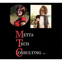 Metta Tech Consulting Logo