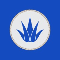Blue Norther Hard Seltzer Logo