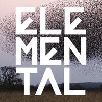 Elemental Logo