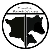 Shacorrah-Dalu Angus Logo