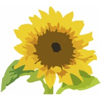 NGO National center of agrifinance development Logo