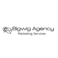 BIGWIG Agency Logo
