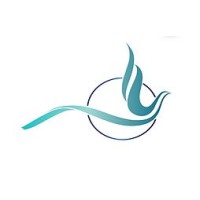 Transition Professionals Logo