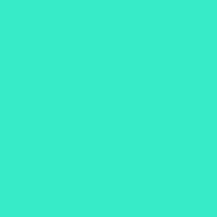 MINT LIST Logo