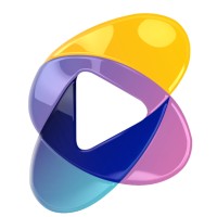 Silicon Chilean Logo