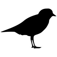 Plover Digital LLC Logo