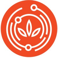 American Extractions Logo