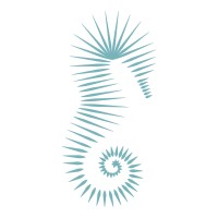 Cabo Luxury Logo