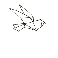 rvlierOPcoaching Logo