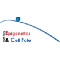 Epigenetics and Cell Fate Centre Logo