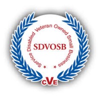 IMG Services Logo