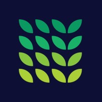 Phyllome Logo
