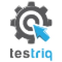 TESTRIQ QA Lab, LLP. Logo