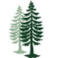 Fir Tree Partners Logo
