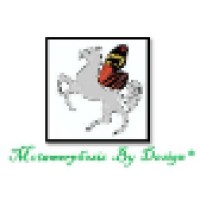 VITAL CONCEPTS & DESIGNS LLP Logo