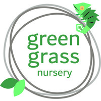 Green Grass Nursery Logo