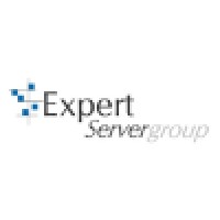Expert Server Group Logo