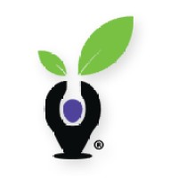 Indigo Education Company Logo