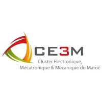 Cluster CE3M Logo