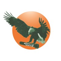 TOUVIS Logo