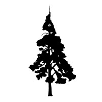 Tricademy - School of Movement GmbH Logo