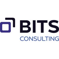 BITS CONSULTING Logo