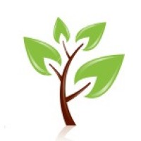 Donoma Software Logo