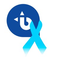Blue Fleet Logo