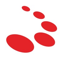 Modern Networks Logo