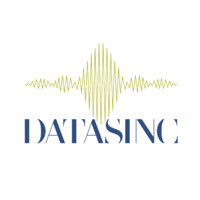DATASINC Logo