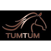 TumTum Cab Logo