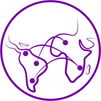 Global SouthXSouth Consulting Logo