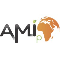 AMI-p Logo