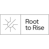 Root to Rise Logo