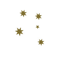 Australian Audit Pty Ltd Logo